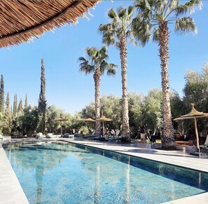 Una piscina con sillas de descanso y palmeras.
