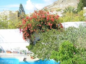 Piscine extérieure (ouverte en saison)