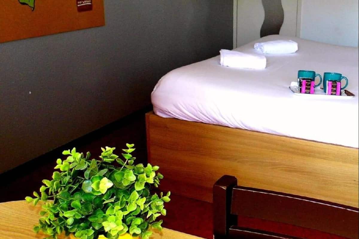 Une chambre d’hôtel avec un lit, une table de chevet ornée d’une plante et un mur sur lequel sont accrochés une carte et une porte.