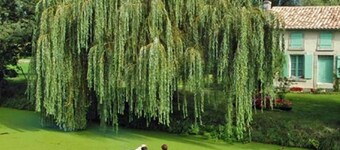 SO'LODGE Hôtel Niort A83