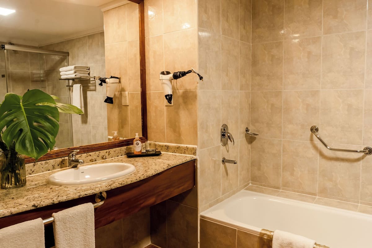 designer toiletries, hair dryer, bidet, towels