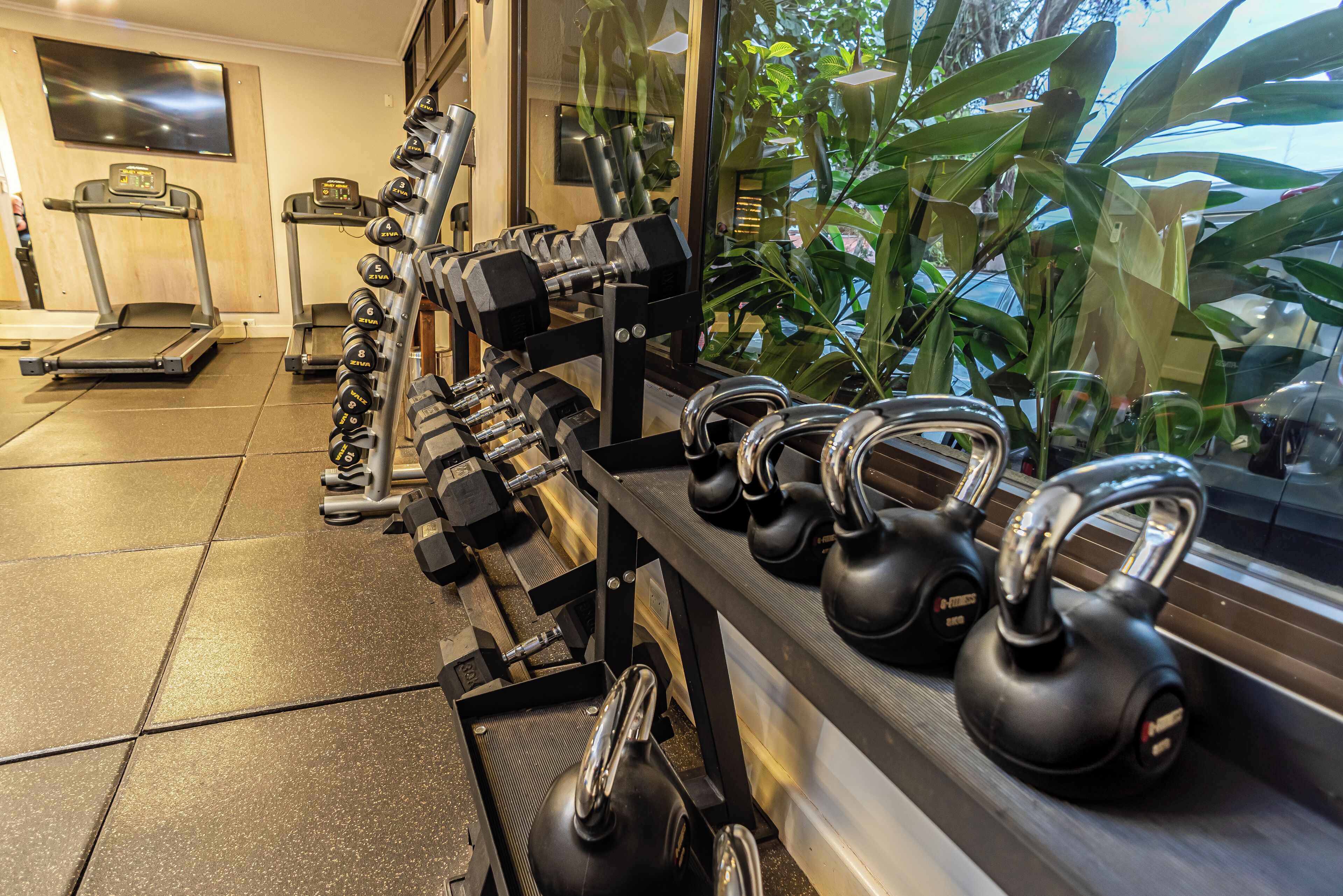 Ein Fitnessstudio mit Laufbändern, Hanteln und Kettlebells.