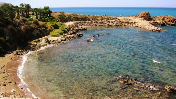 A coastal landscape with clear waters, rocky shorelines, and palm trees. - Aura Holiday Villas (Kissonerga)