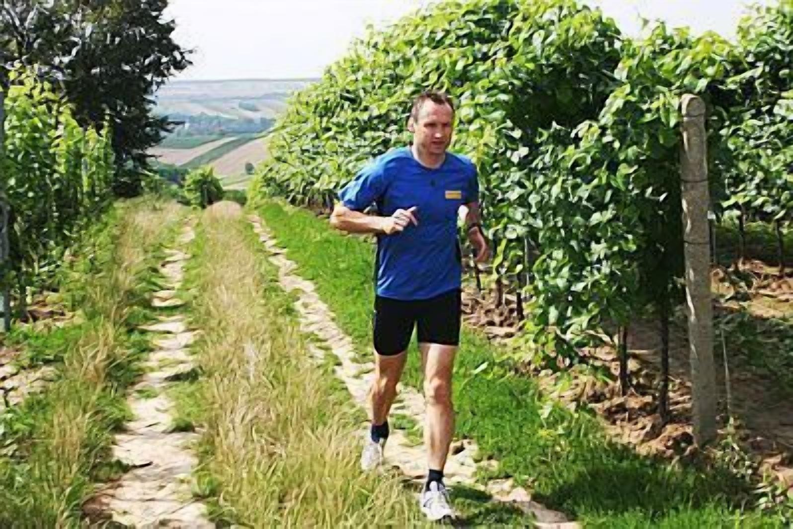 Eine Person läuft auf einem Steinweg, der von Grünflächen gesäumt ist.