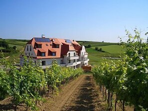 A large, multi-story house with a red roof and white walls, surrounded by a vineyard. - Veltlin (Poysdorf)