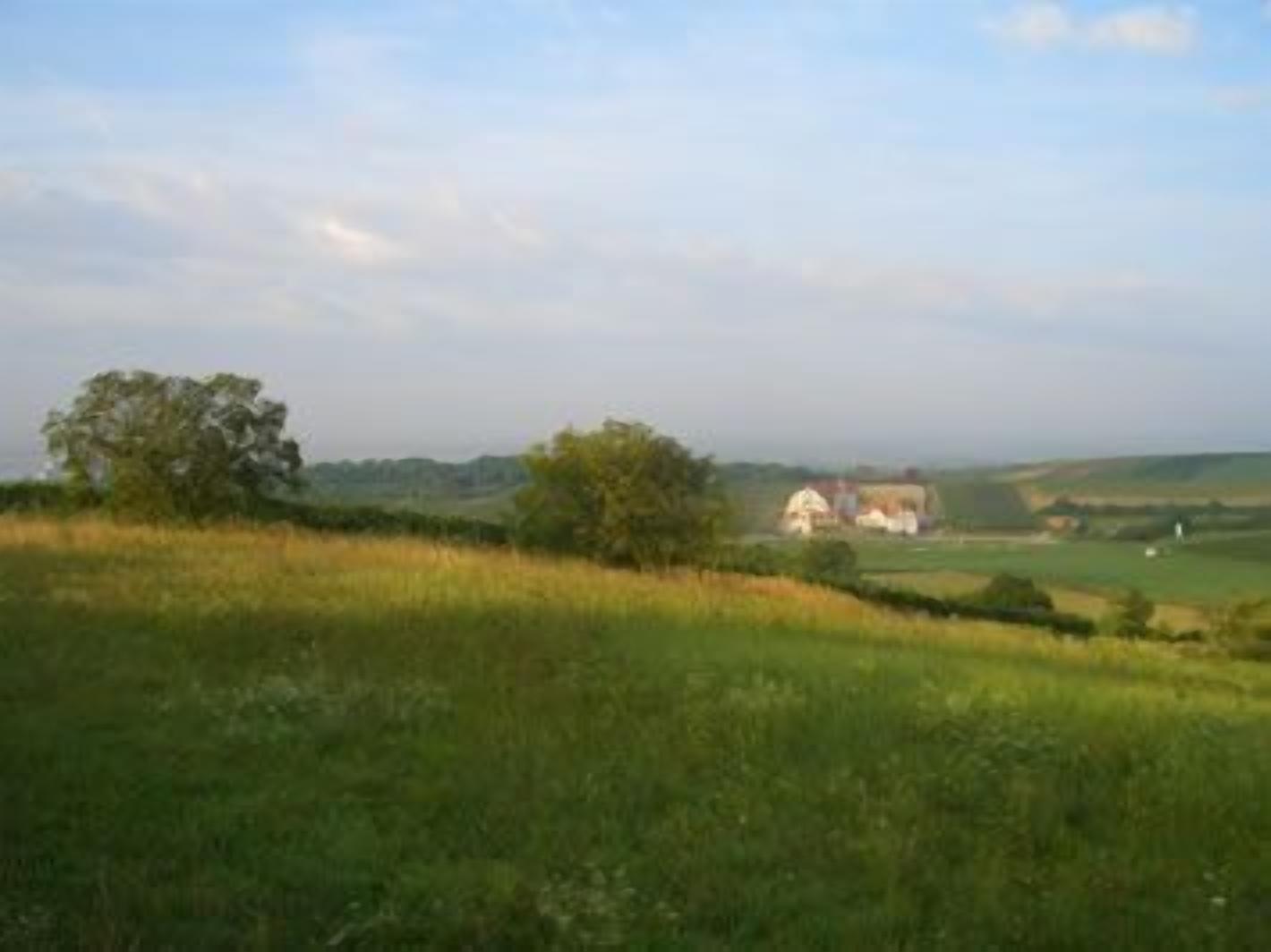 A rural landscape with rolling hills, a large tree, and a distant white building with a red roof.