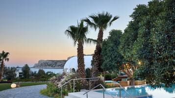 Zona de piscina con escalones que dan a la piscina, rodeada de palmeras y un árbol grande con luces.