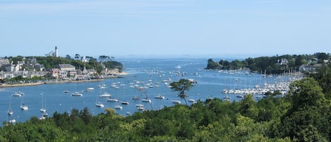A coastal town with a marina filled with boats, surrounded by dense greenery and buildings along the shore.