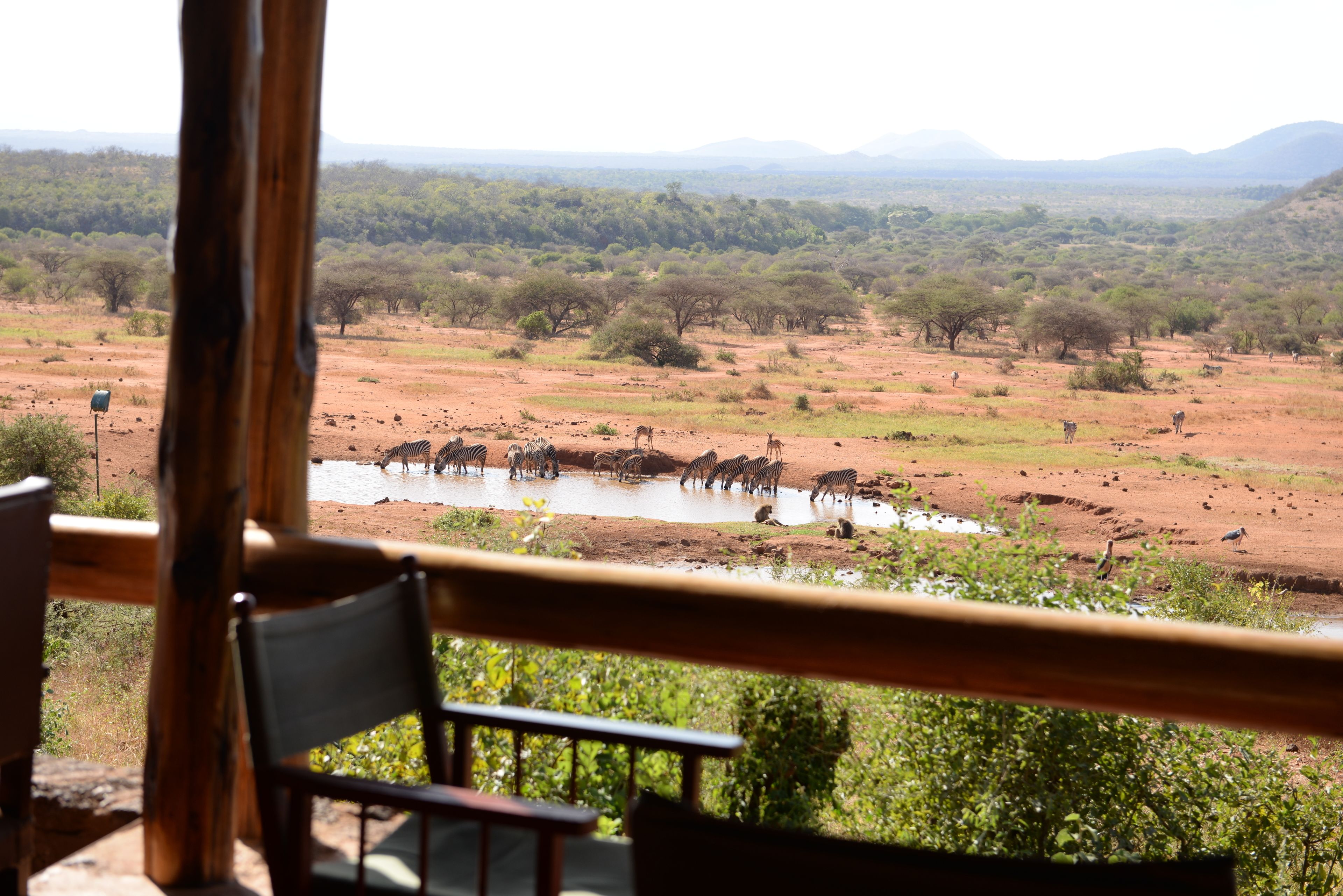 A view from a wooden deck overlooking a watering hole with zebras and giraffes, surrounded by sparse trees and distant mountains.