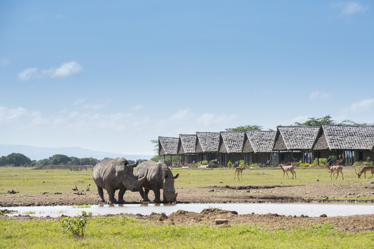 You can't miss those Top 10 best safari lodges for families in Africa!