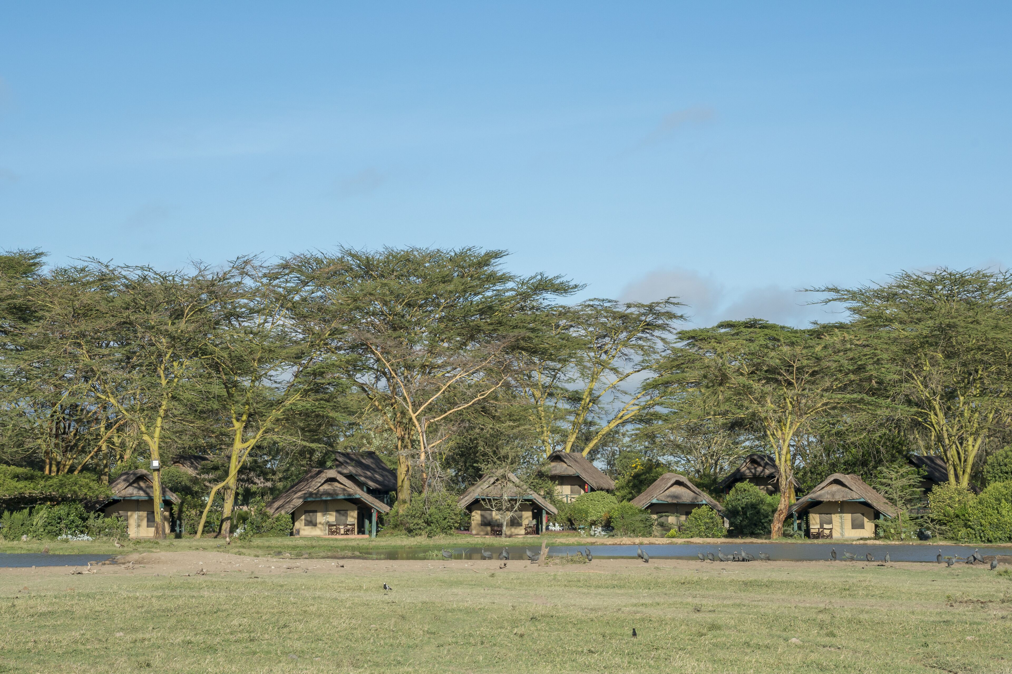 land view from property