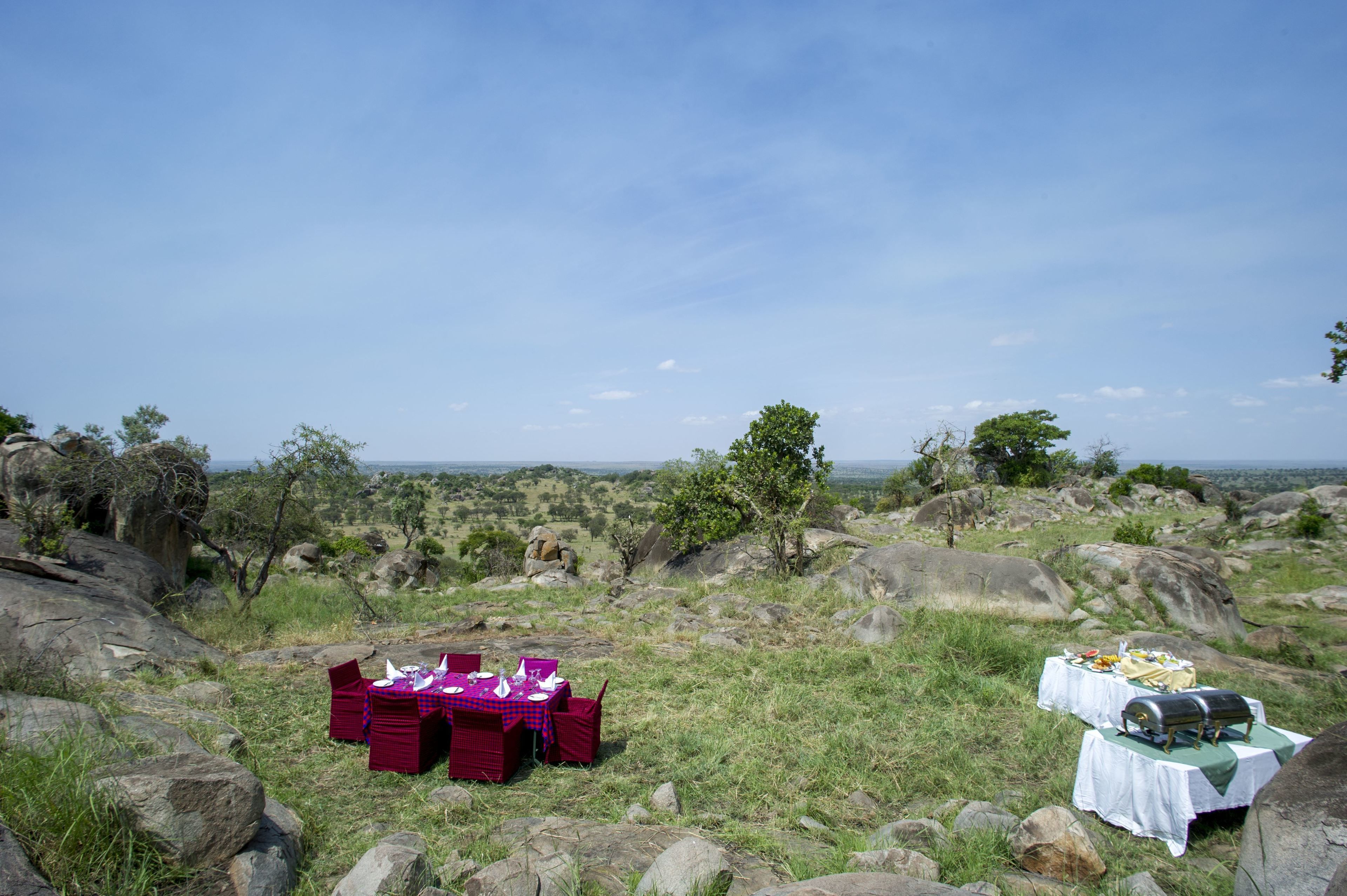 An outdoor dining area with tables set up on a grassy field with a view of the landscape.