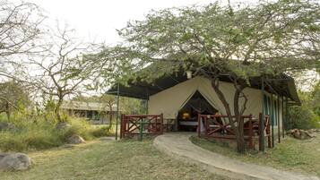 A safari lodge with a covered entrance, a pathway leading to the lodge, and a natural surrounding with trees and rocks.