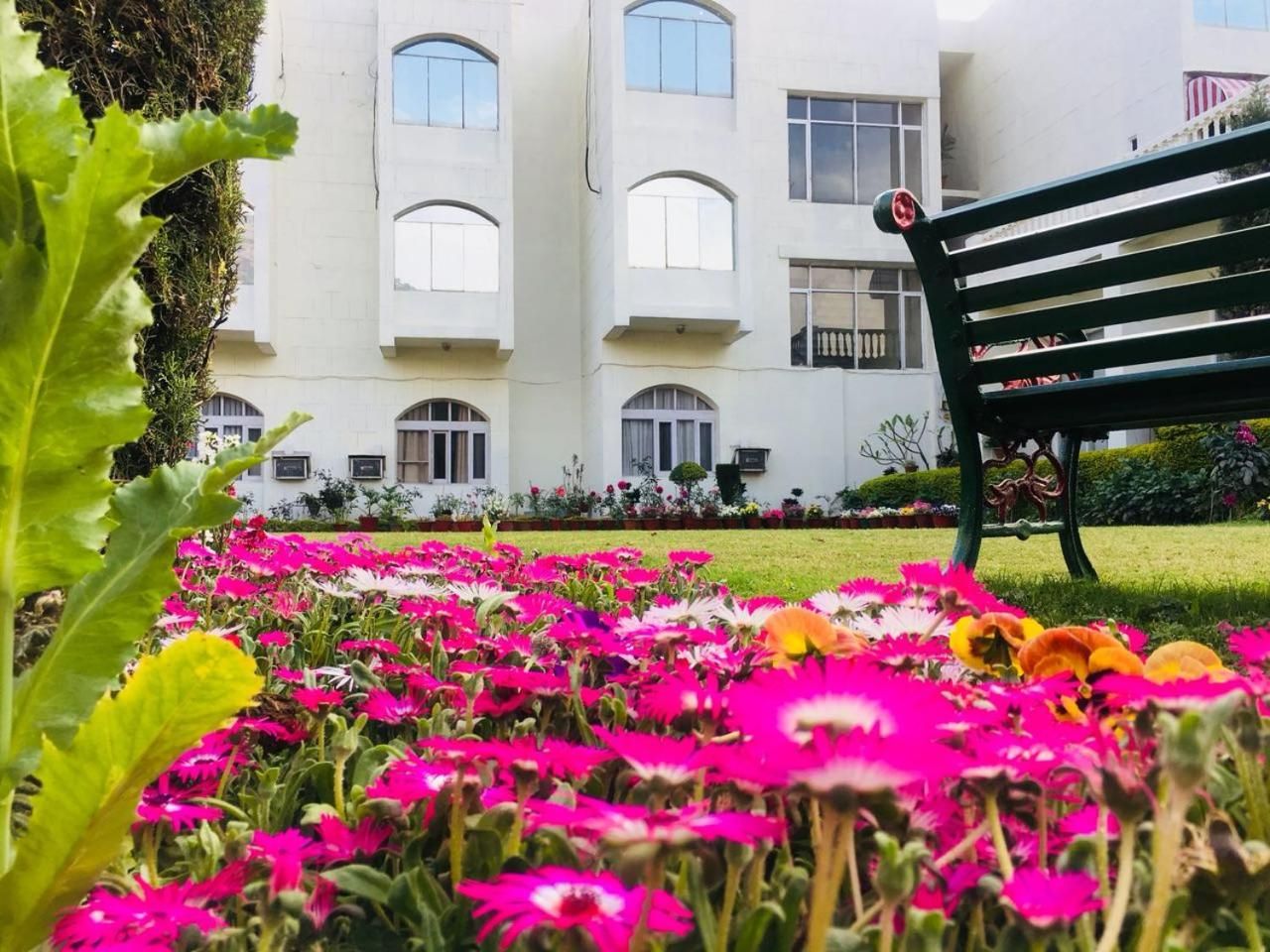A building with multiple windows and a bench in a garden with colorful flowers.