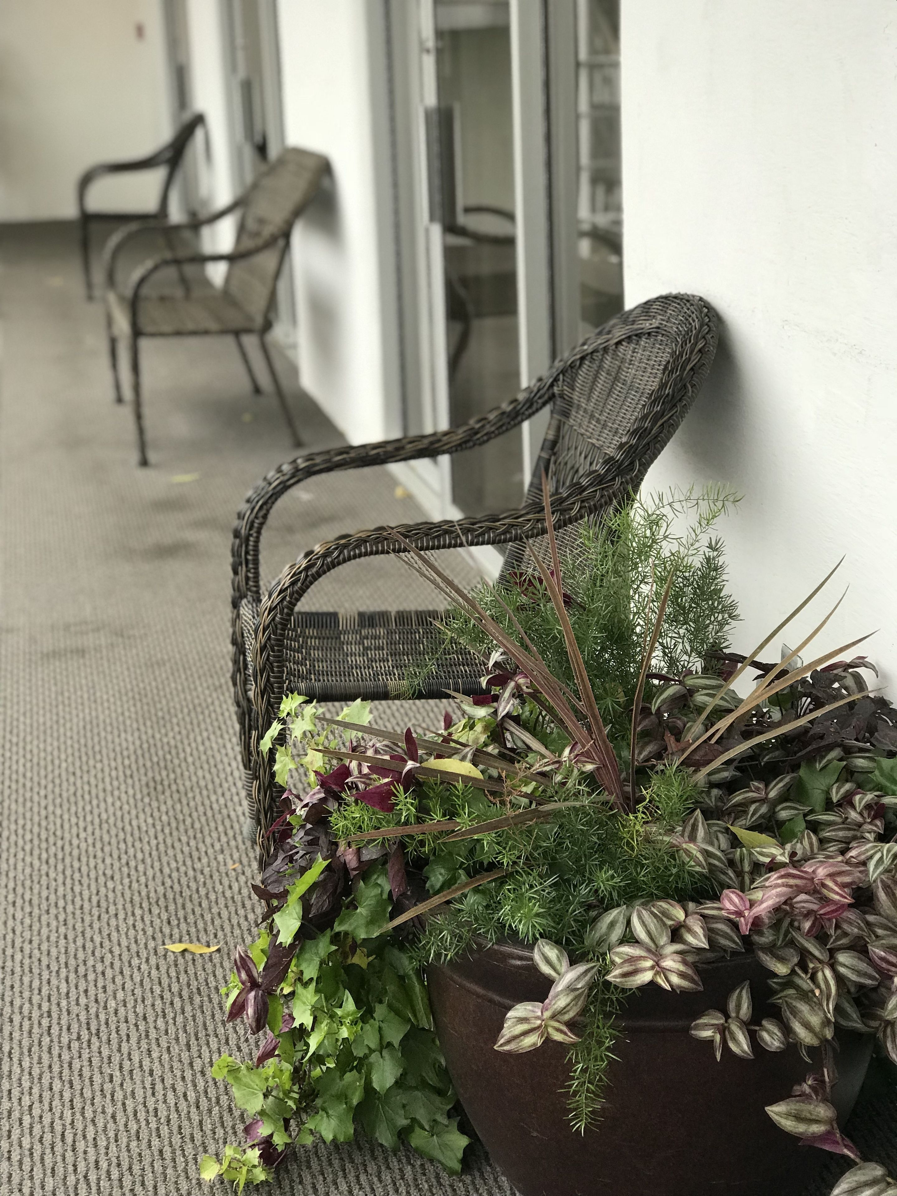 A wicker chair and a planter with various plants on a balcony.