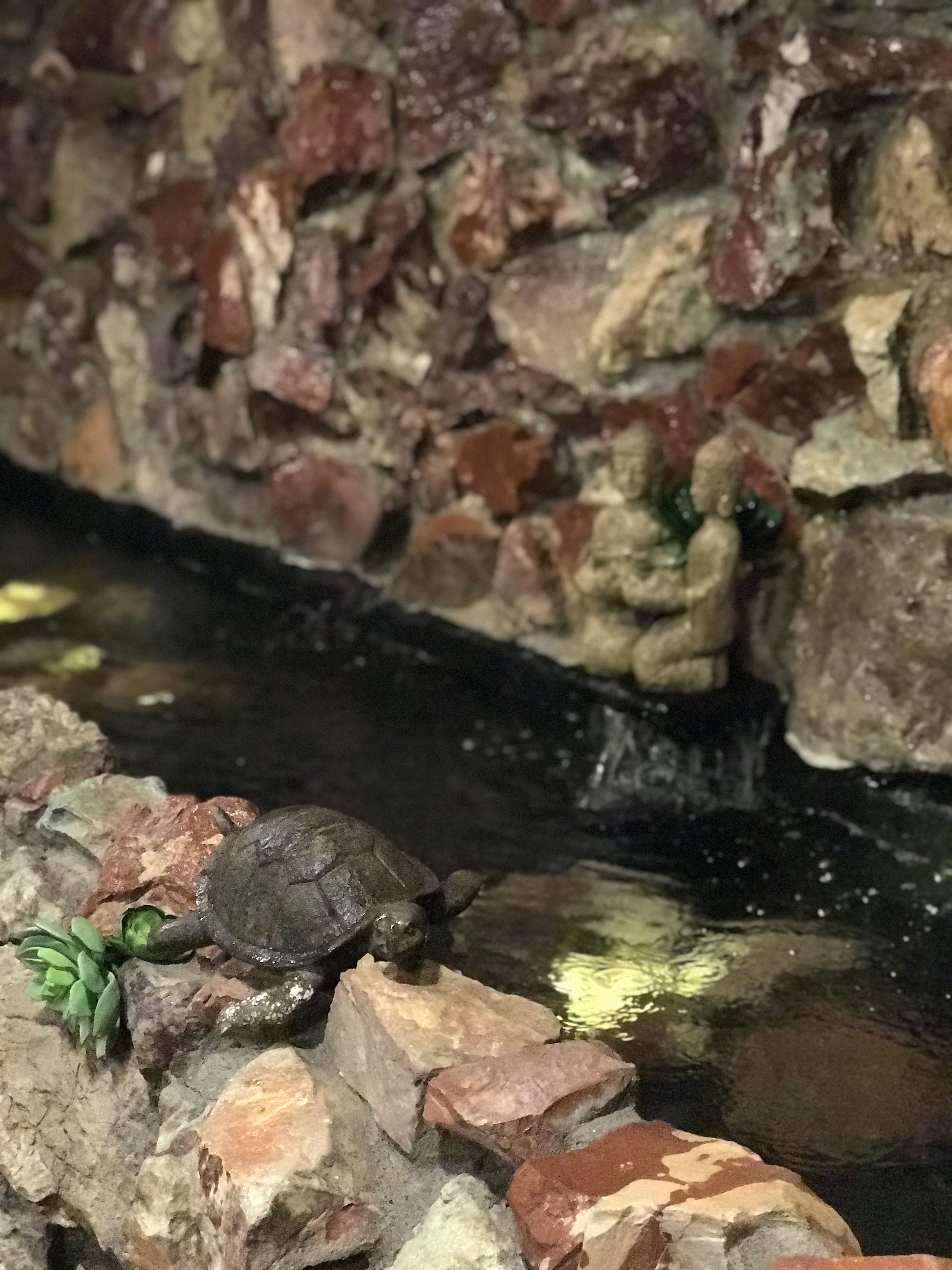 Foto - Lewis & Clark Motel - Bozeman