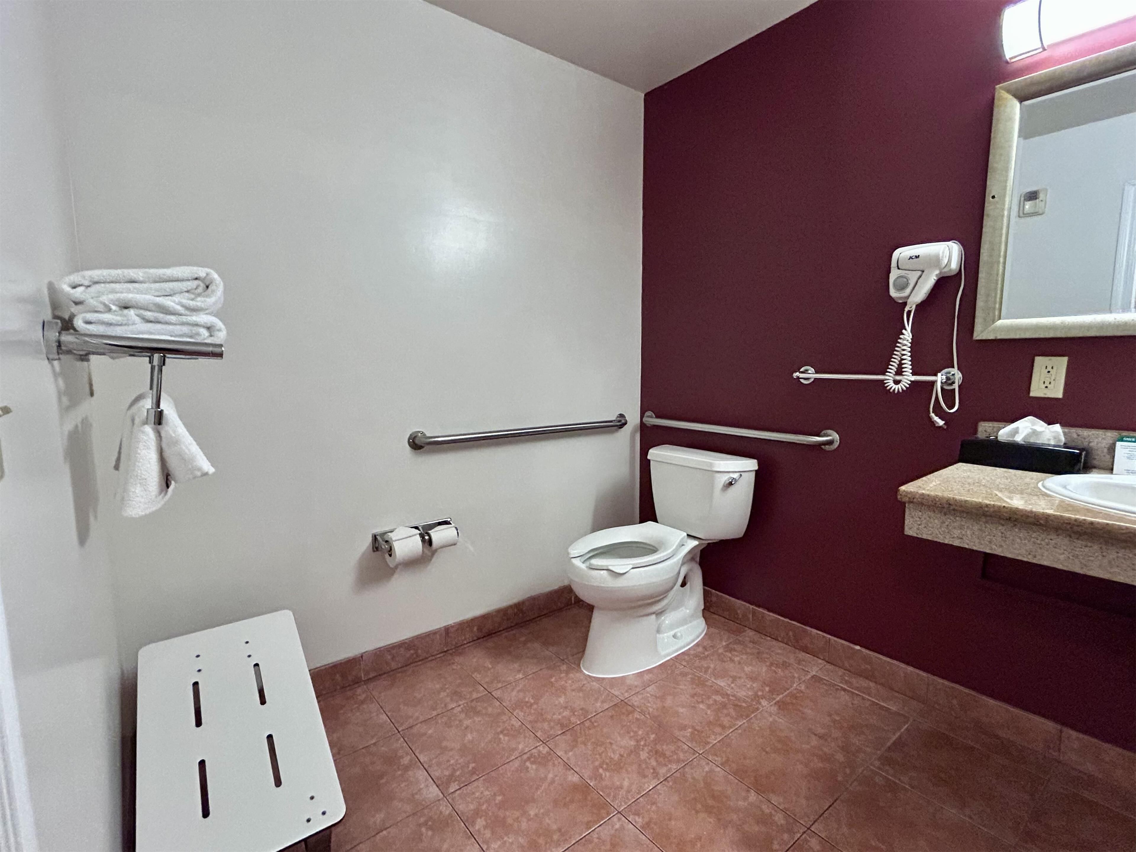 standard room, 1 king bed, accessible, bathtub | accessible bathroom