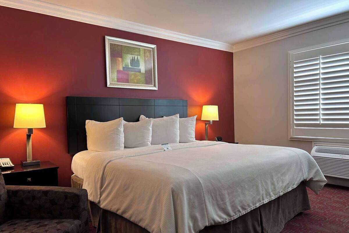In-room safe, desk, iron/ironing board, WiFi (surcharge)