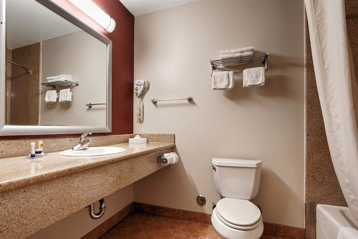 combined shower/bathtub, hair dryer, towels