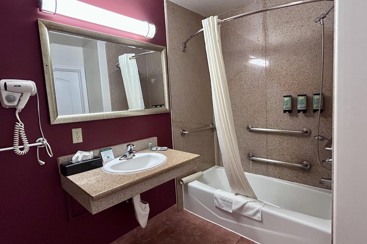 standard room, 1 king bed, accessible, bathtub | accessible bathroom