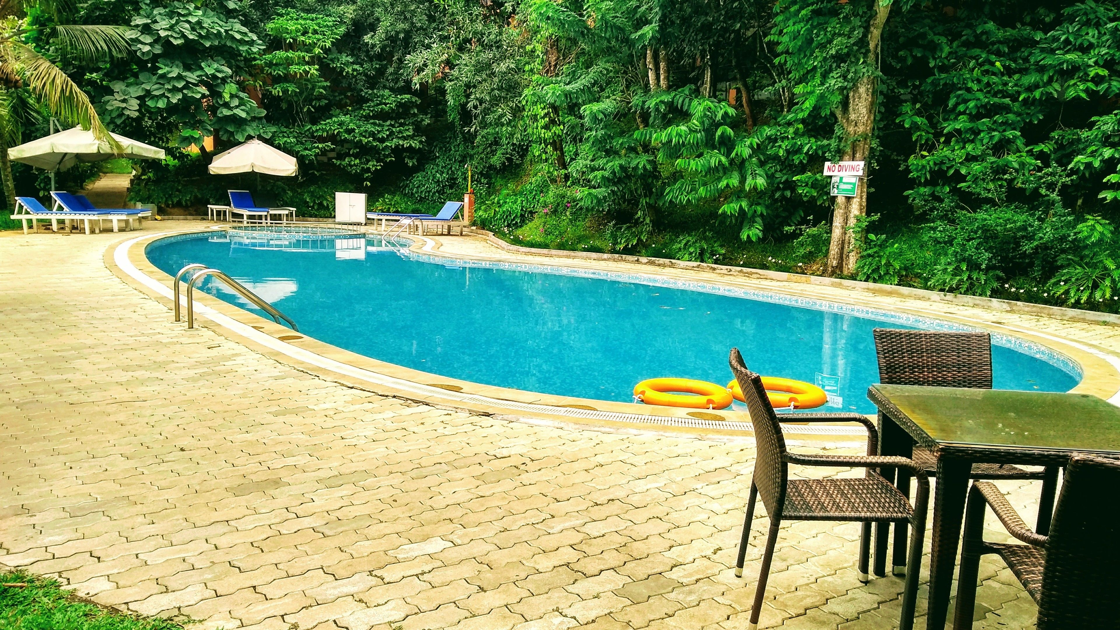 Une piscine entourée d’une végétation luxuriante, avec des chaises longues et des parasols.