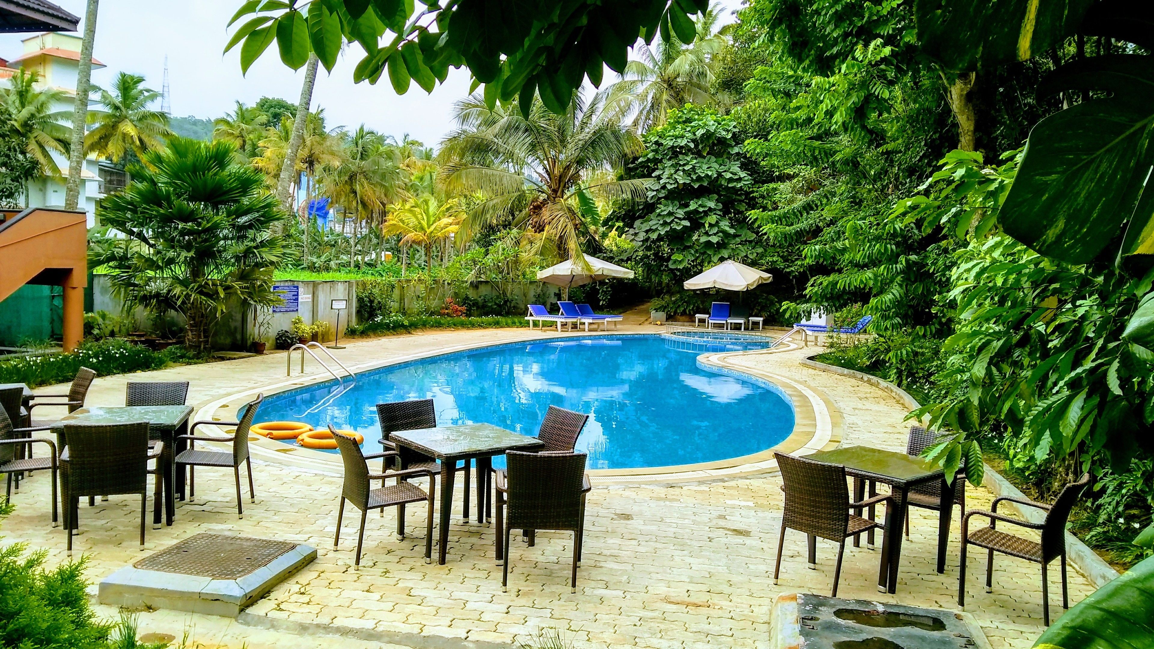 Outdoor pool, pool loungers