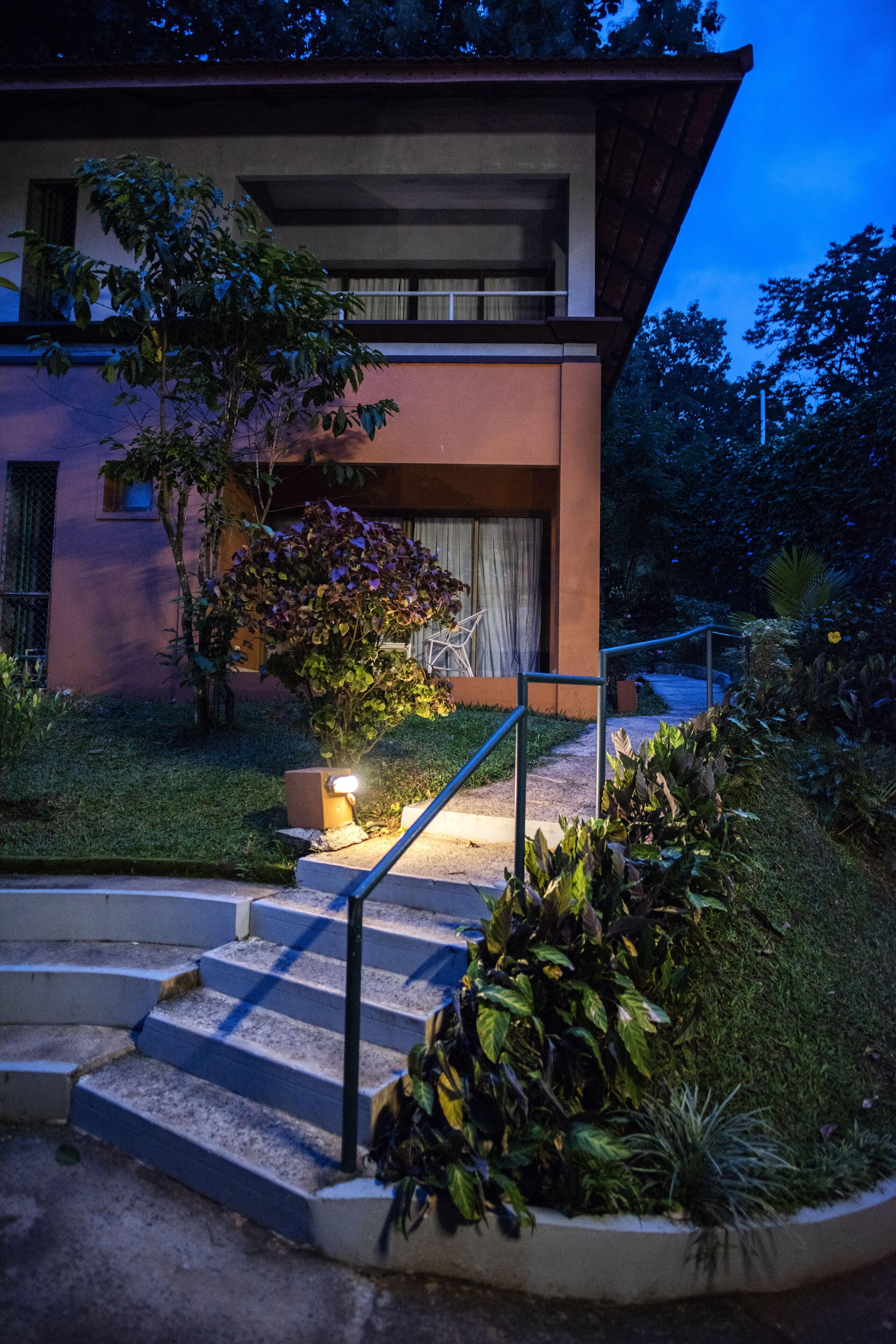 A modern house with a staircase leading to a covered porch, surrounded by lush greenery.