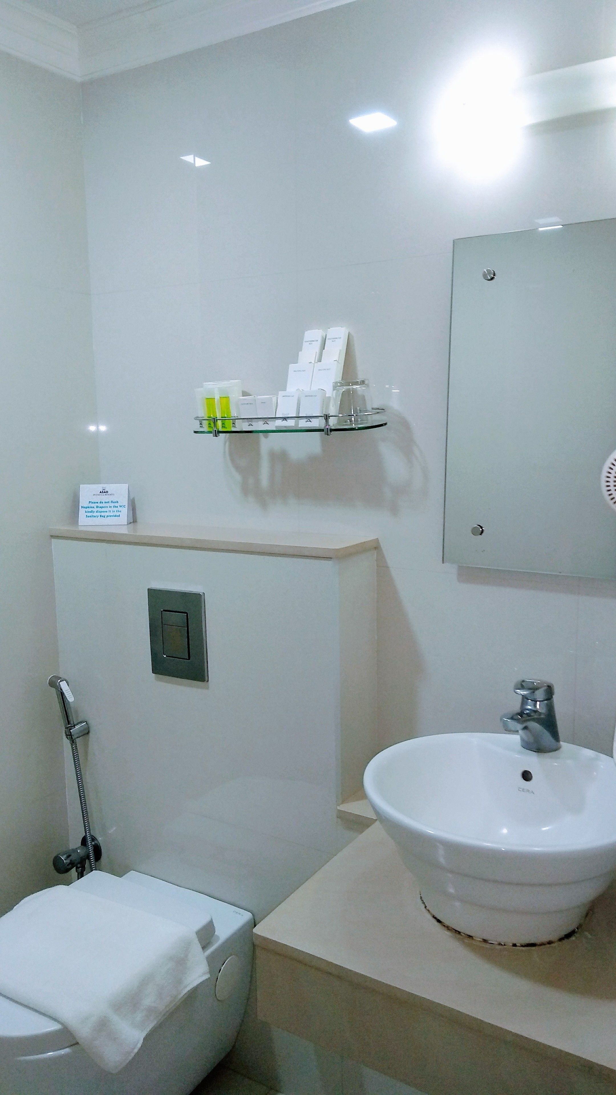 Un bagno con il water, un lavandino, uno specchio e uno scaffale con articoli da toilette.