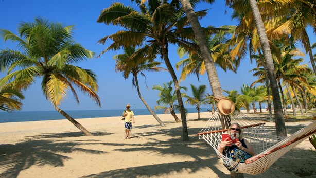 Escena de playa con palmeras, una hamaca y una persona caminando.