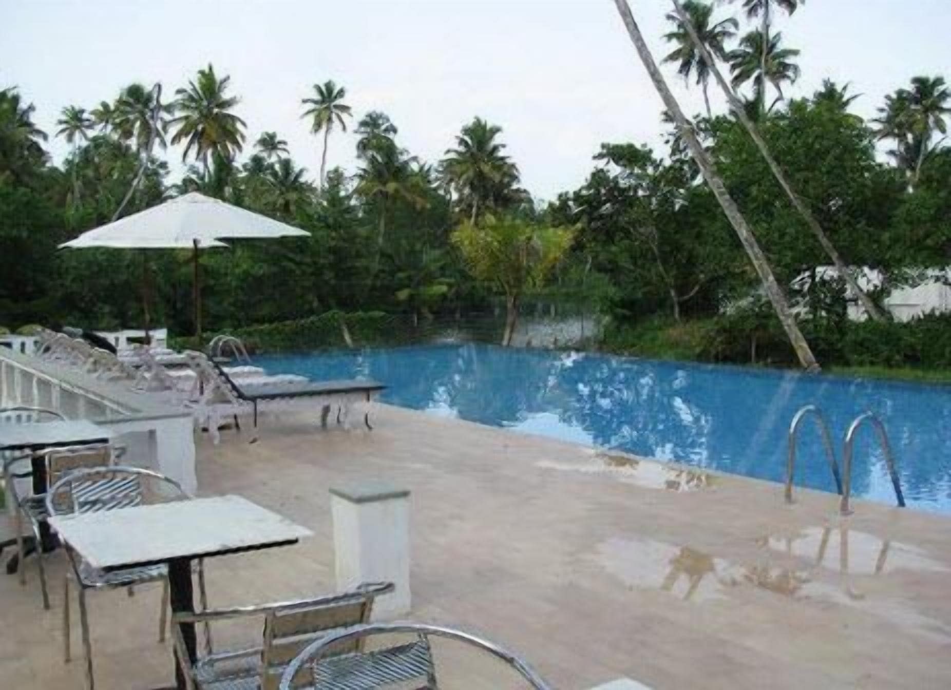 A swimming pool with lounge chairs and umbrellas, surrounded by palm trees.