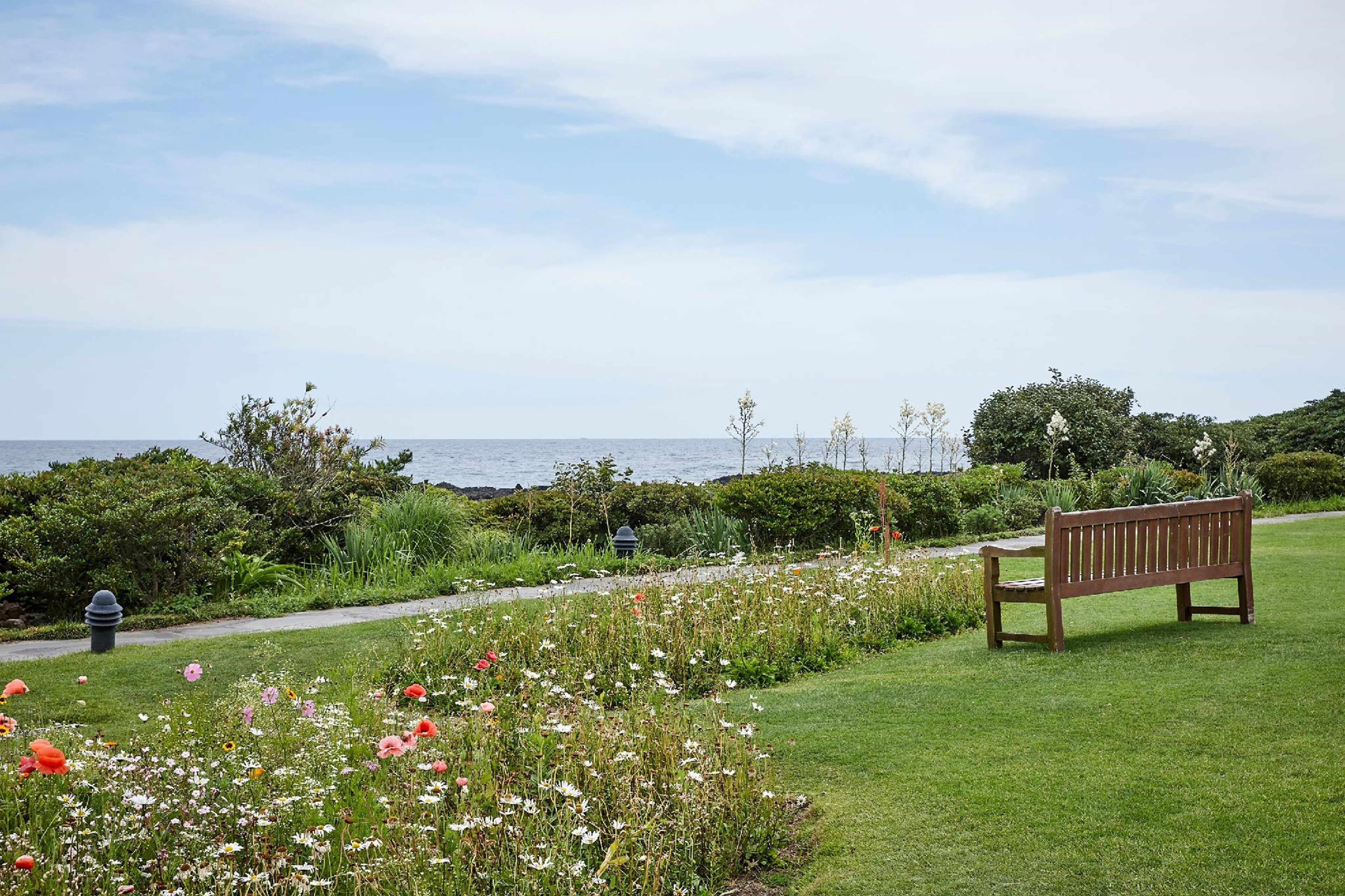 A park with a bench, a pathway, and a view of the ocean.