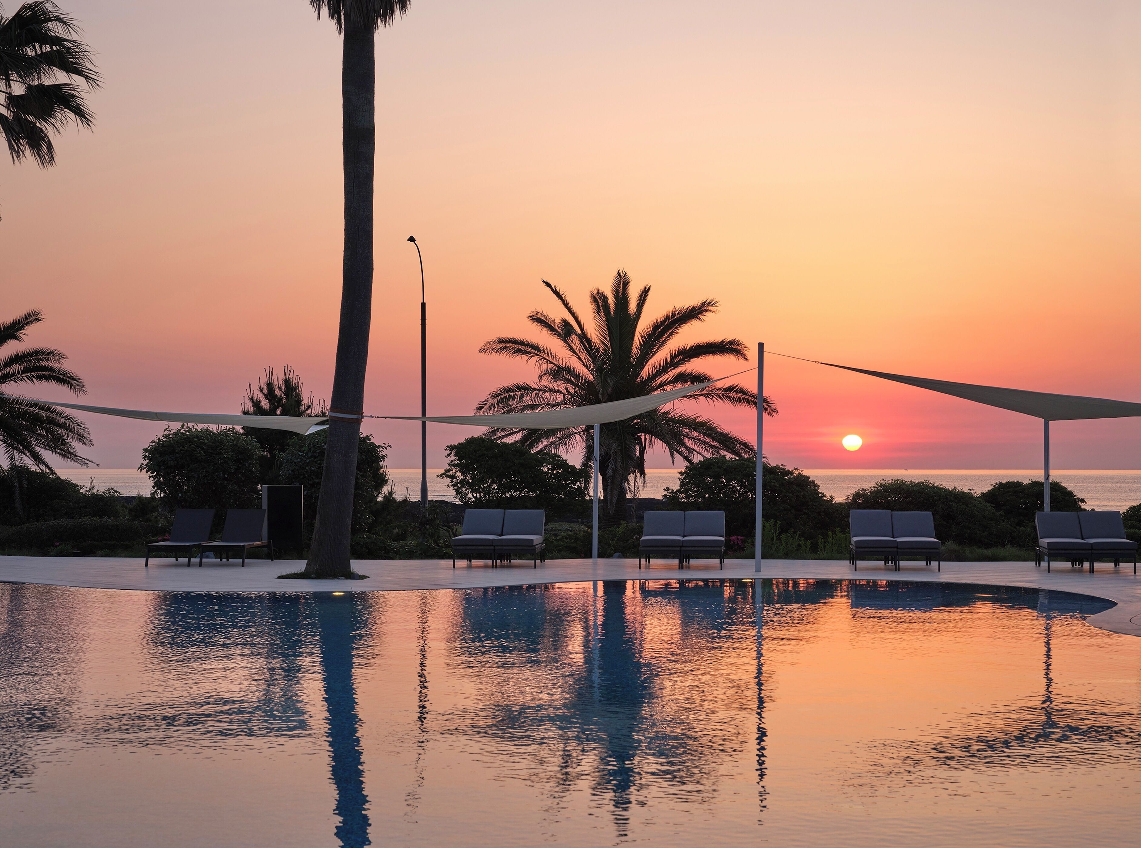 A pool with lounge chairs and palm trees at sunset.
