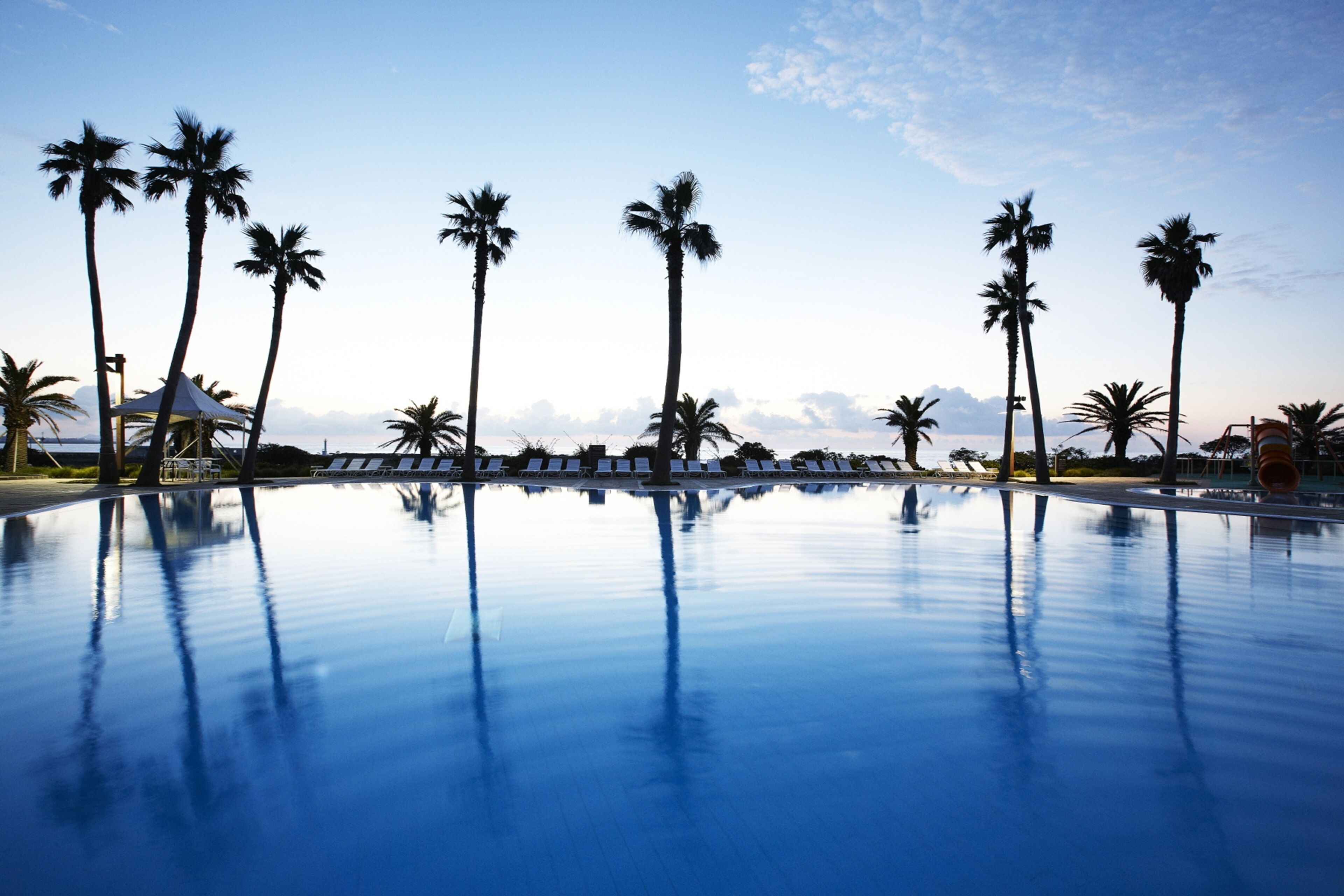 Blick auf einen Swimmingpool mit Palmen und Liegestühlen.