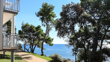 Plage, ski nautique