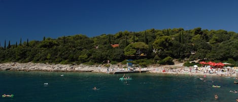 A coastal beach with clear waters, a sandy shore, and a backdrop of dense green trees.