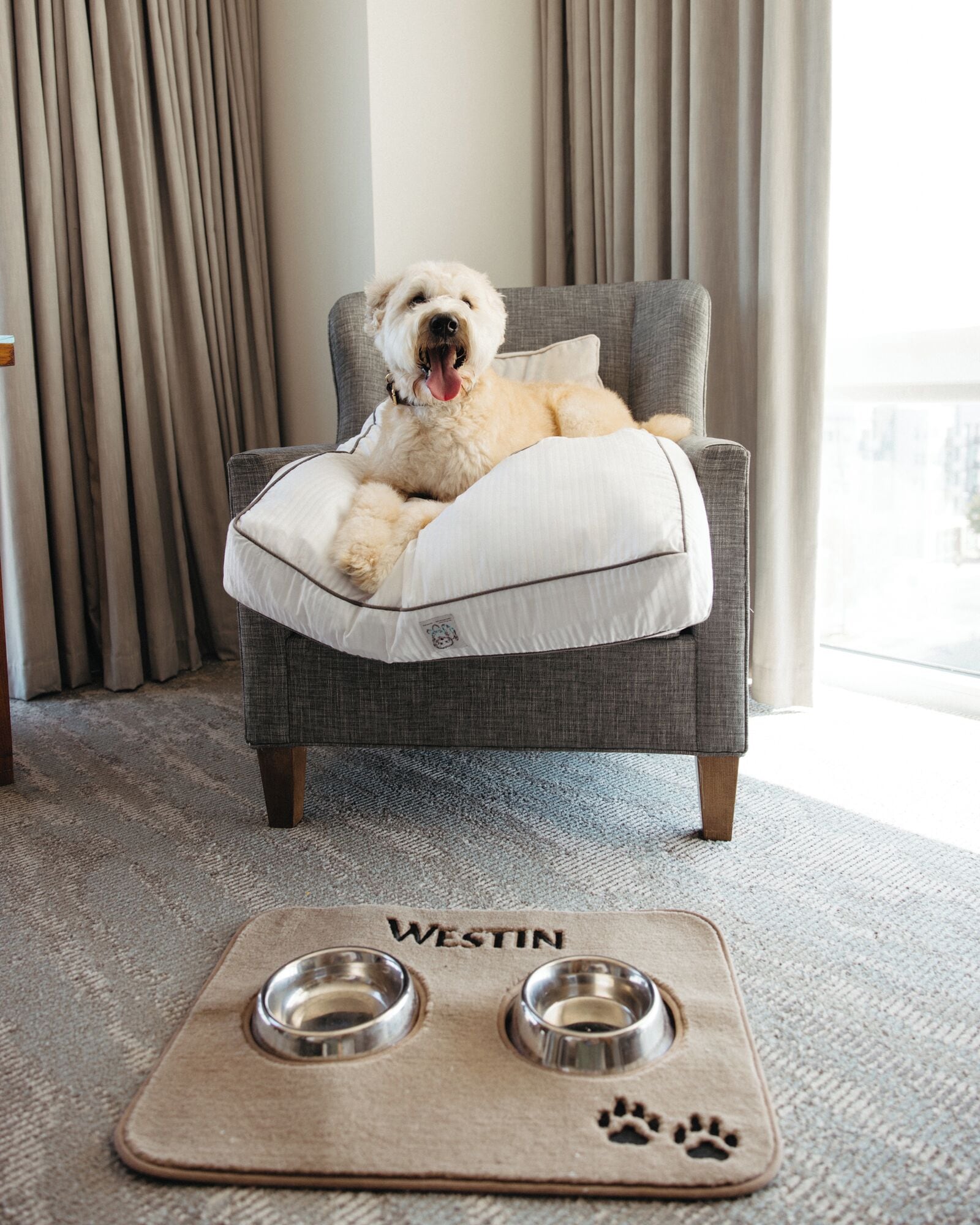 pet-friendly amenities