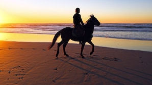A silhouette of a person riding a horse on a beach at sunset.