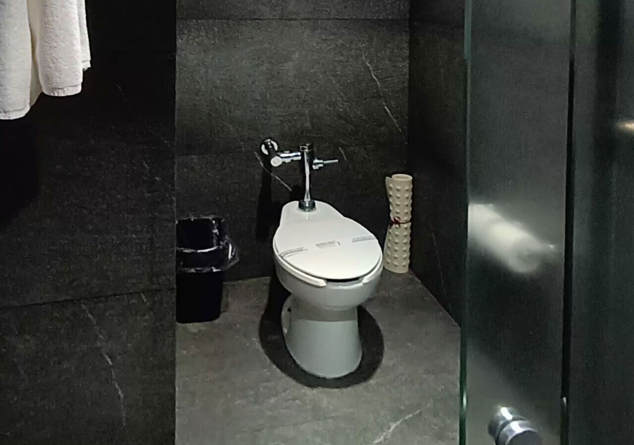 A modern bathroom with a white toilet, a black trash bin, and a glass shower enclosure.