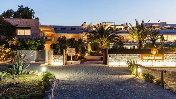 The entrance of the Hibiscus Hotel with a stone facade, palm trees, and a well-lit reception area. - Hibiscus Hotel Residence (Siniscola)