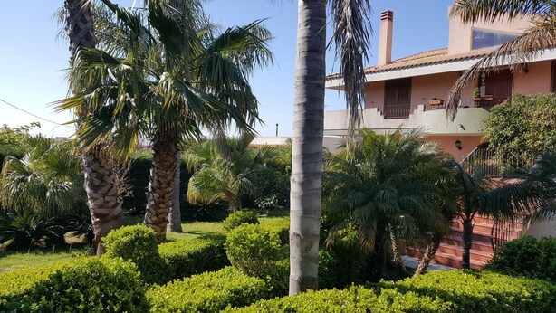 A house with a garden featuring palm trees and well-maintained bushes. - Villa Ottavia (Noto)