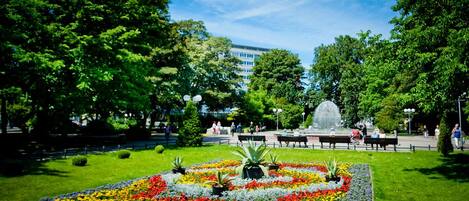 A park with a fountain, benches, and a flower garden.