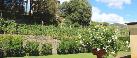 Un jardín con una jardinera de mármol, un muro de piedra y un sendero que lleva a un edificio.