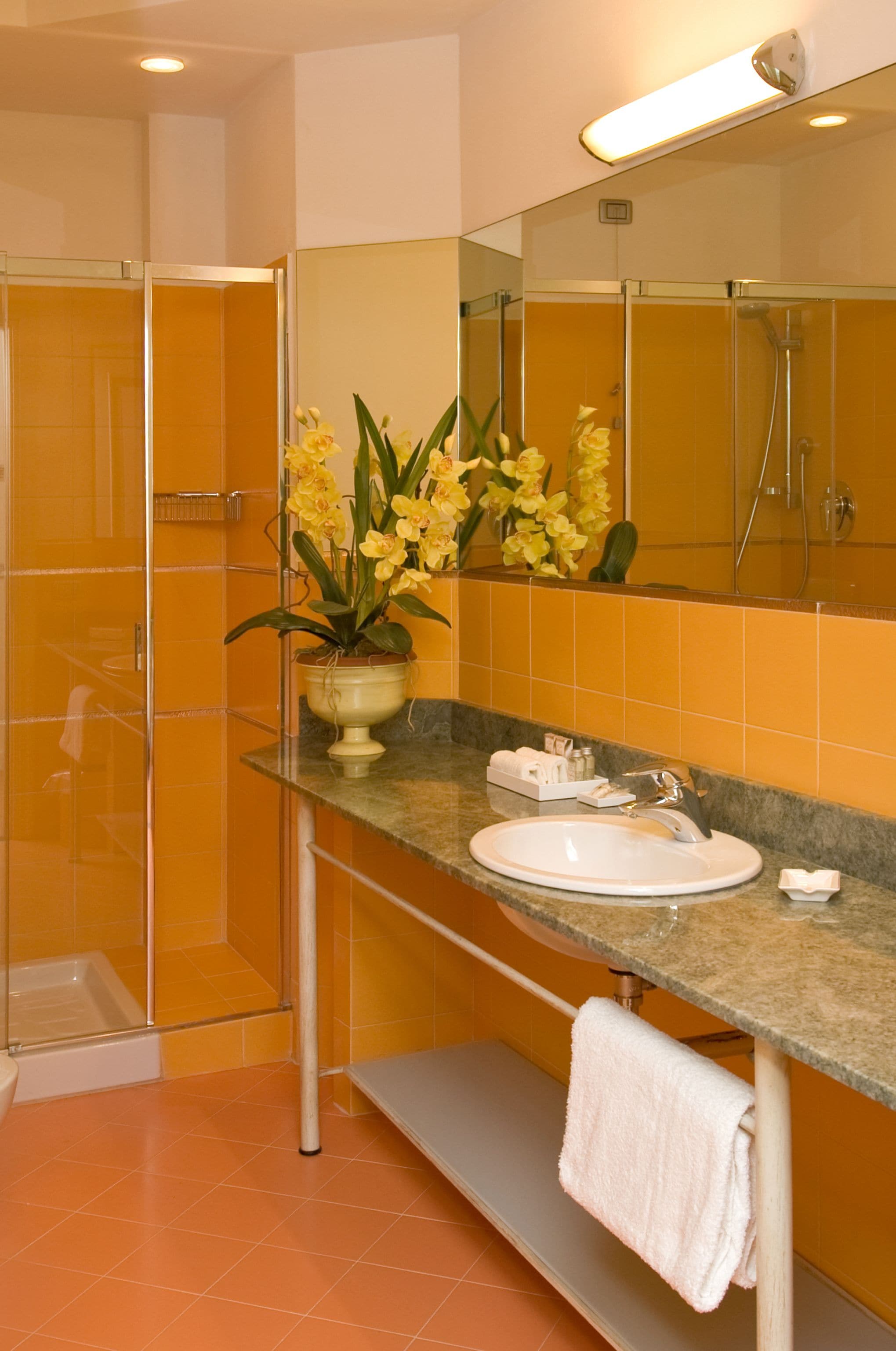 deep-soaking bathtub, rainfall showerhead, free toiletries, hair dryer