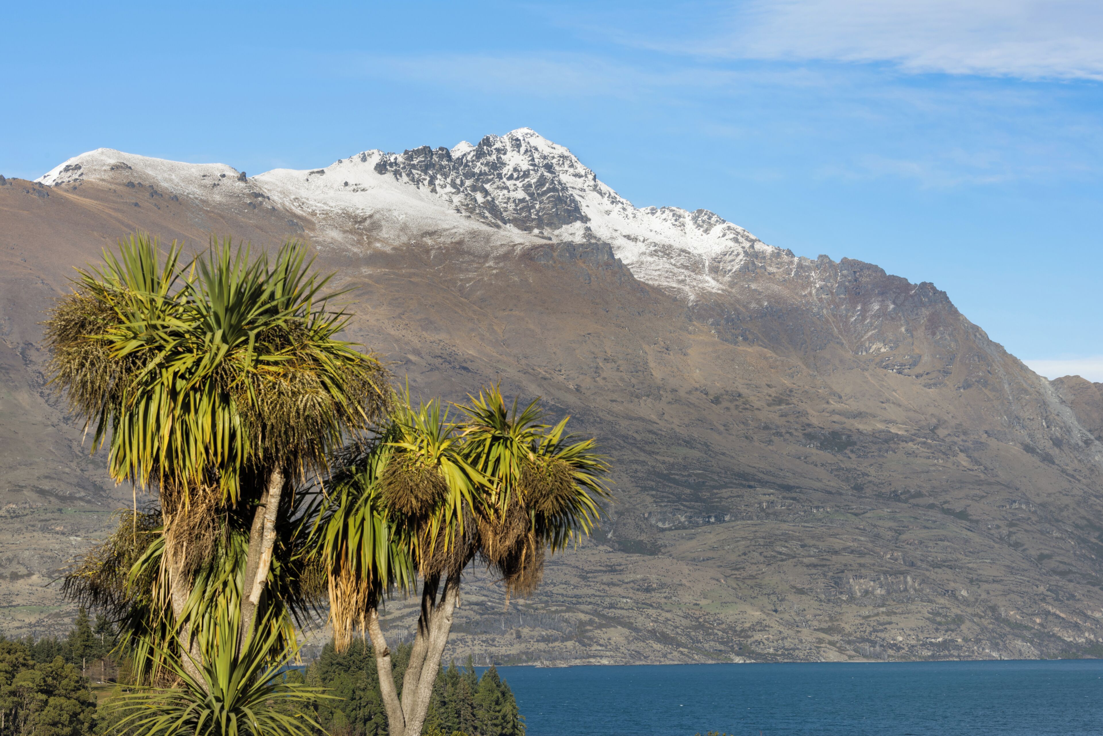 Foto - Queenstown Motel Apartments