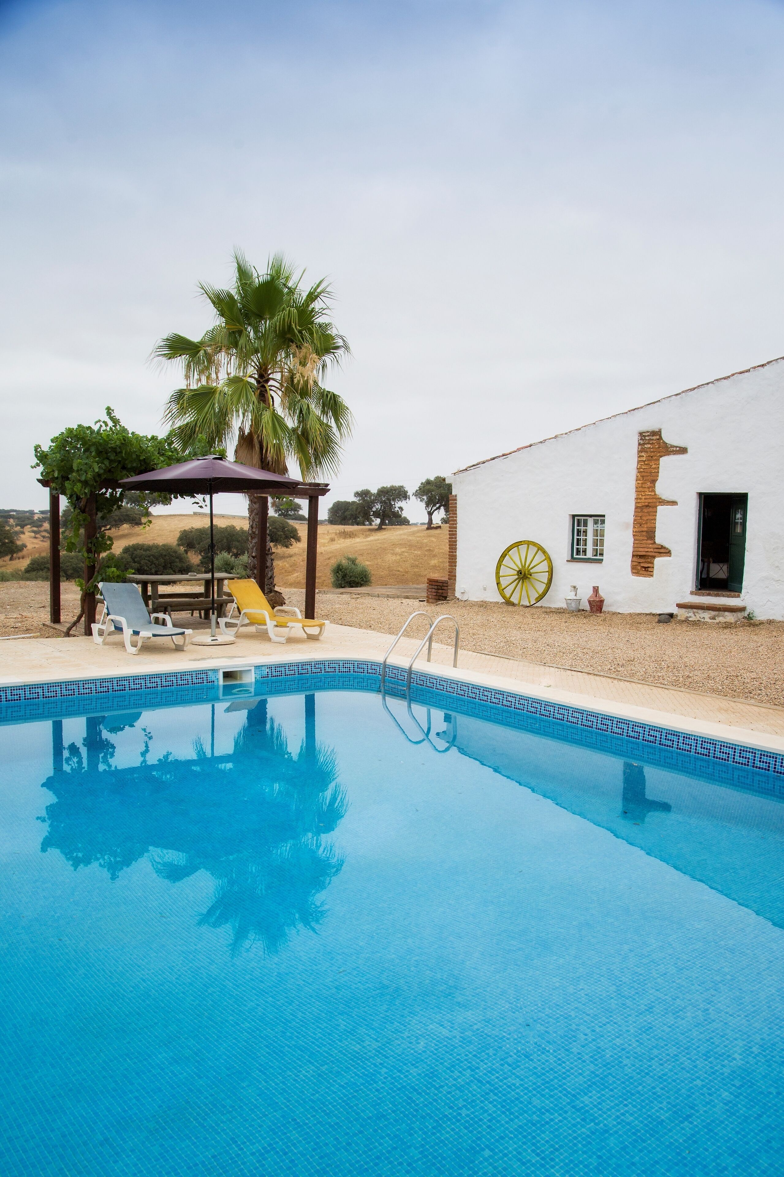 حمّام سباحة خارجي موسمي