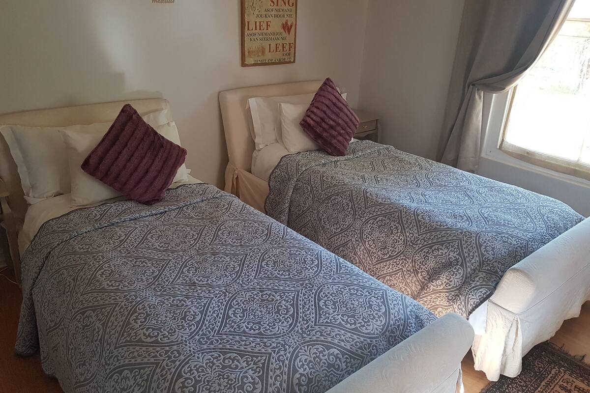 A bedroom with two beds, each with patterned bedding and pillows.