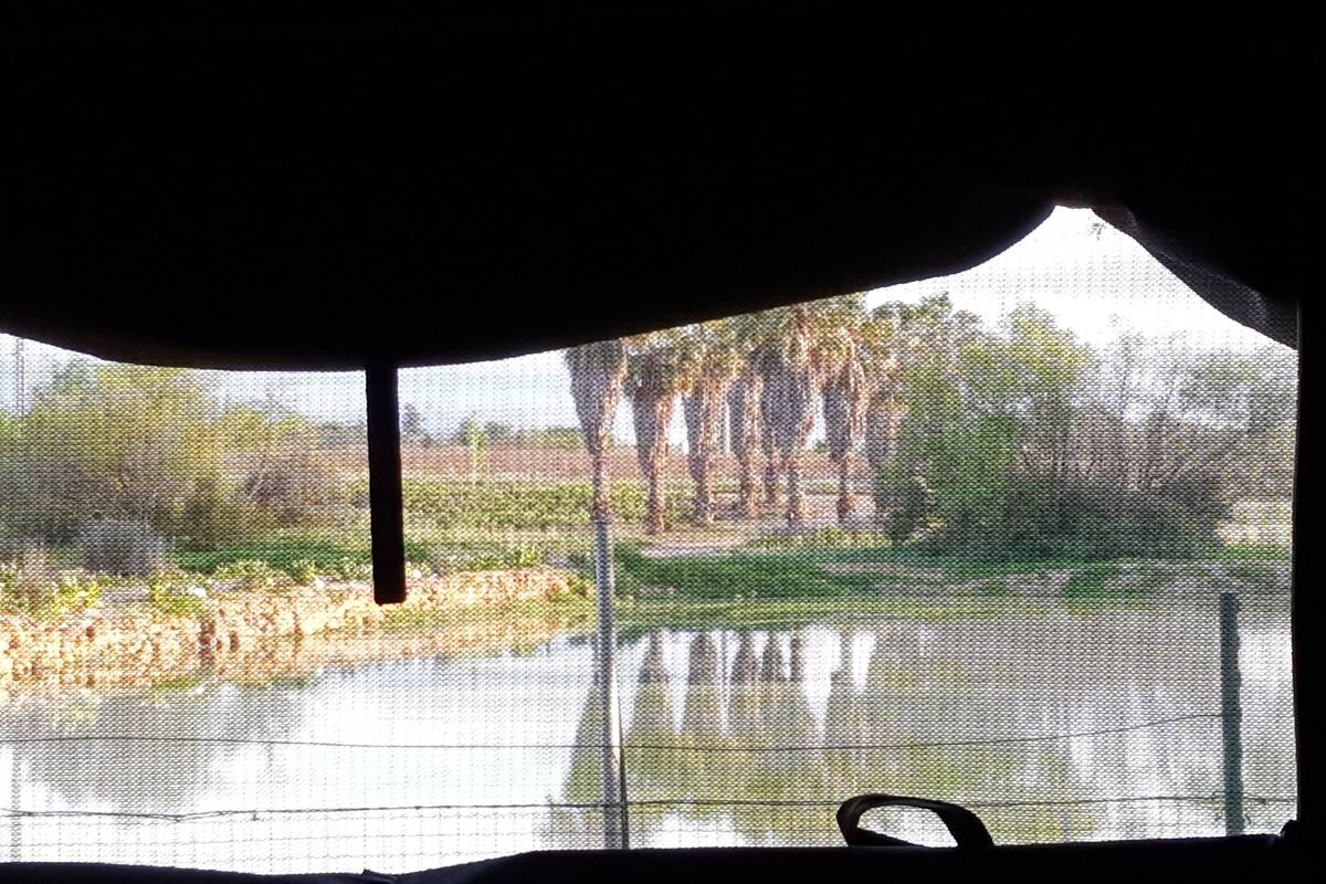 Safari Lodge tent | Garden view
