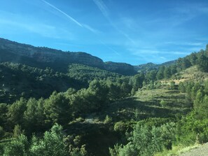 A mountainous landscape with dense forests and a clear sky.