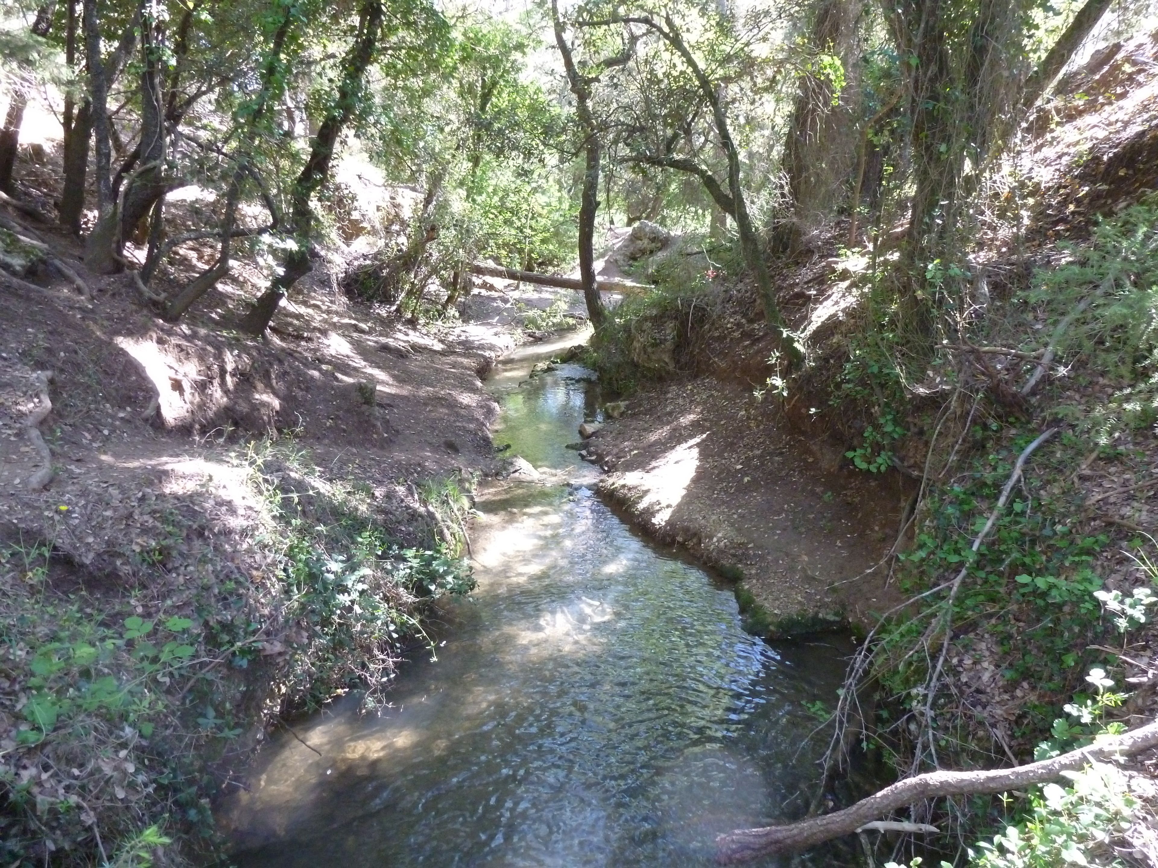 Um riacho estreito serpenteando por uma área florestada, com árvores densas e terreno rochoso.