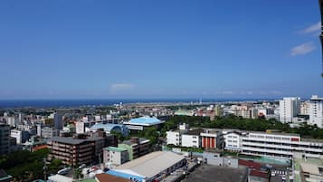Beach/ocean view